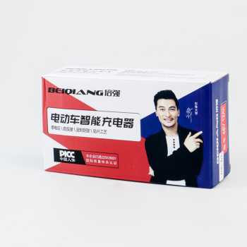 BEIQIANG Charger Aki Sepeda Listrik Lead-Acid Battery EU Plug 48V 12Ah - BEI48