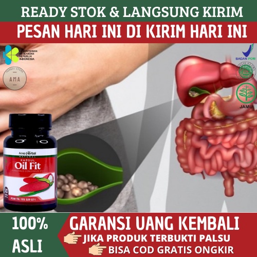Obat Penghancur Batu Empedu, Obat Batu Empedu Kronis, Obat Kolesistitis, Obat Empedu Bengkak, Obat H