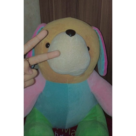 Boneka Dog Colour Lucu