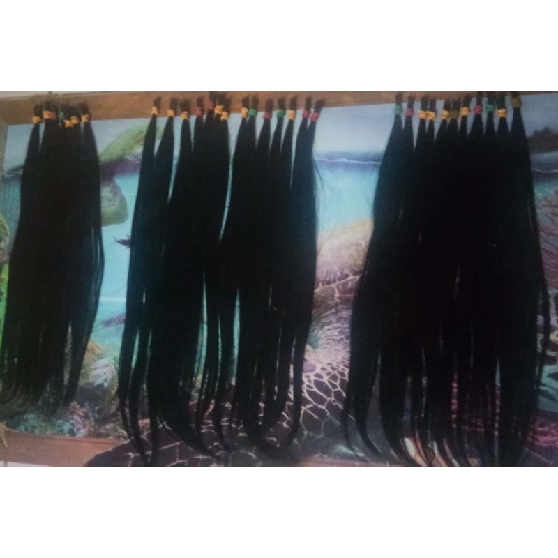 rambut sambung Asli Rambut manusia