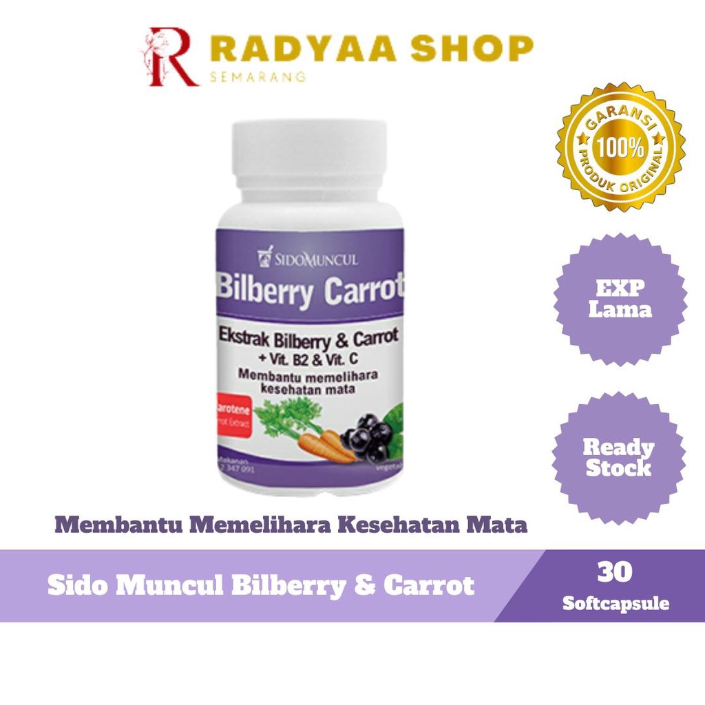 Vitamin Mata Bilberry Carrot Sido Muncul