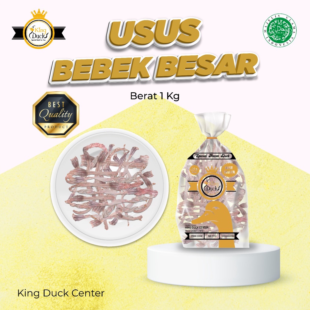 

Usus Bebek Besar