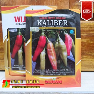 KALIBER  BENIH CABAI RAWIT -10 GRM(original kemasan pabrik)