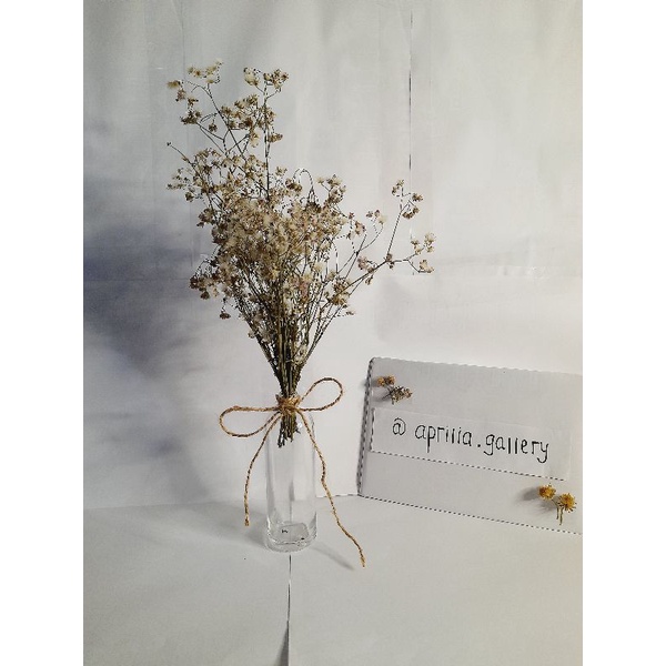 bunga kering aesthetic