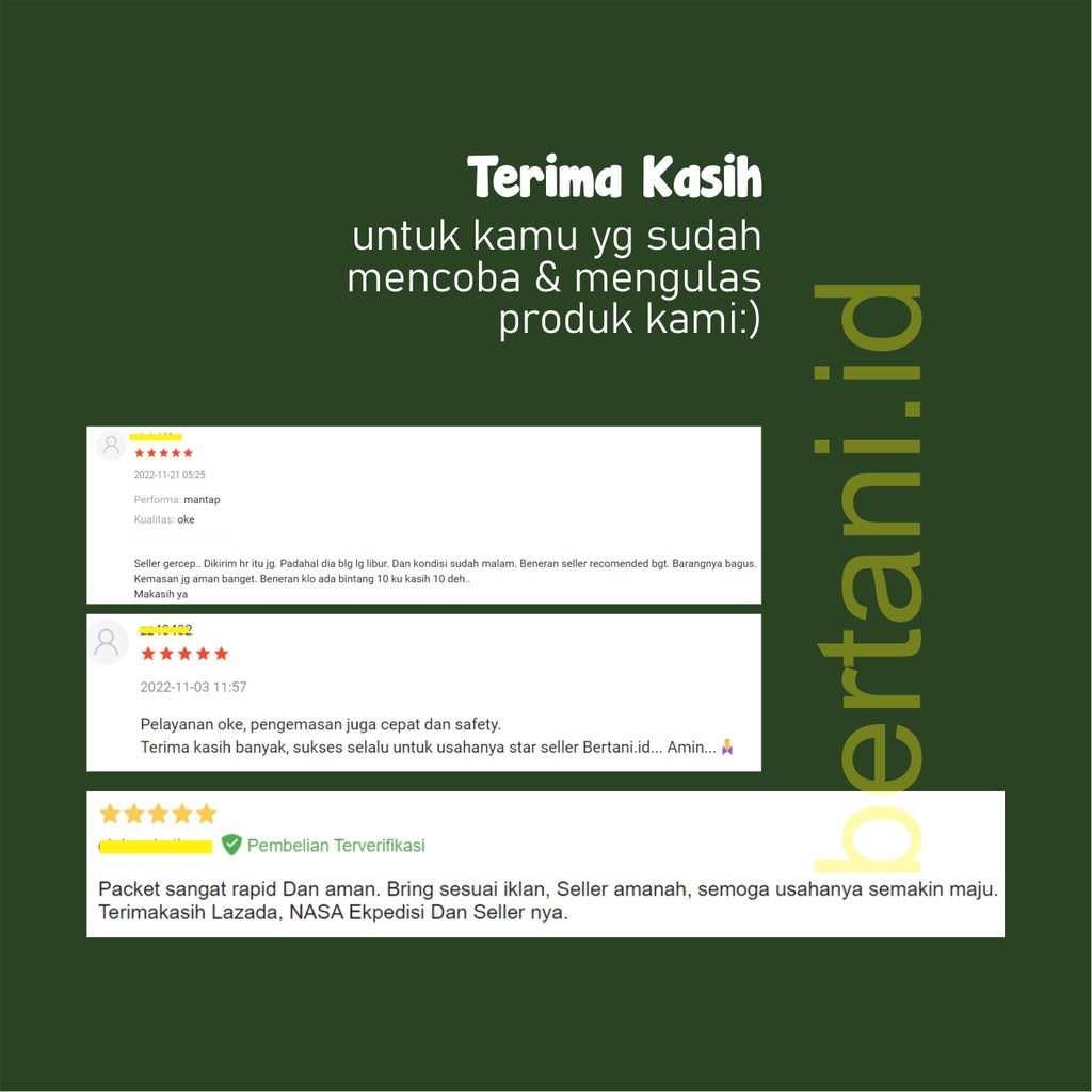 OBAT PENGHILANG LUMUT 1L+500ML