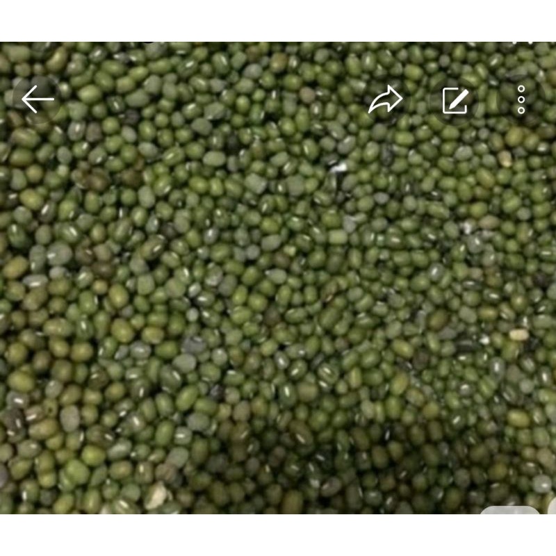 

3kilo kacang ijo