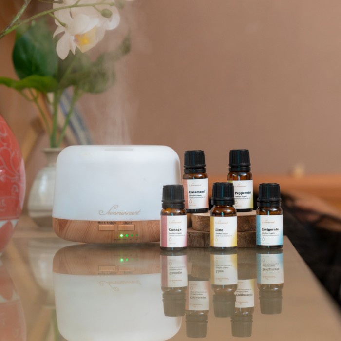 humidifier diffuser aromatherapy Summerscent (diffuser + 5 varian oil) - Humidifier