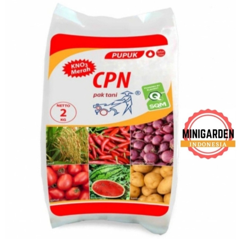 CPN 2 KG PUPUK KNO3 MERAH 2kg  PUPUK VEGETATIF TANAMAN BUAH SAYUR PAK TANI