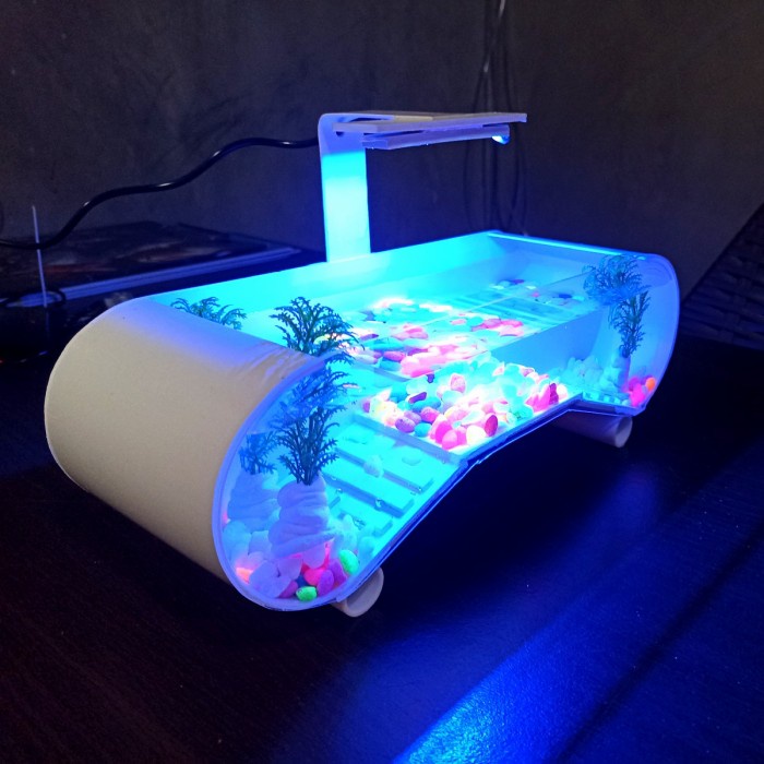 aquarium mini aquarium kura kura brazil unik