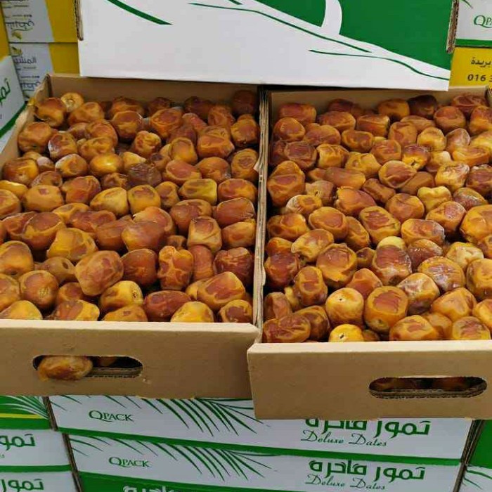 kurma sukari premium 1dus 12kg/kurma sukari murah grosir kurma sukari