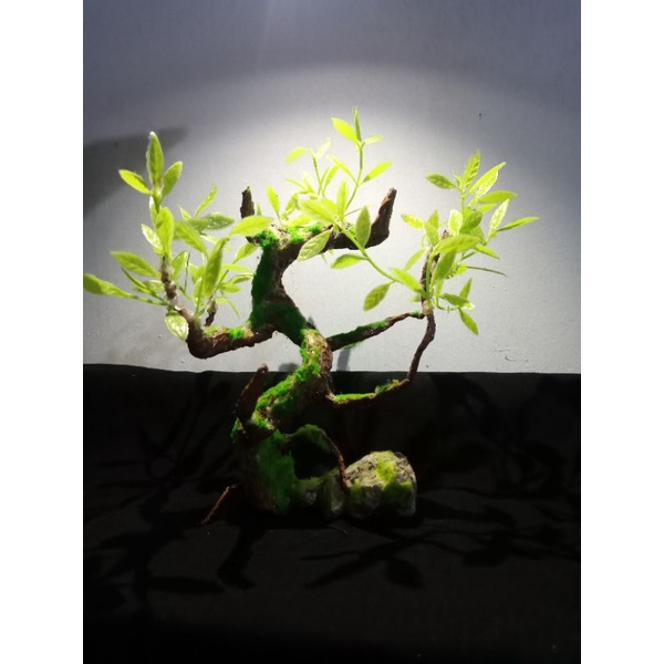 tanaman hias bonsai plastik artificial -pohon batang besar tanpa pot