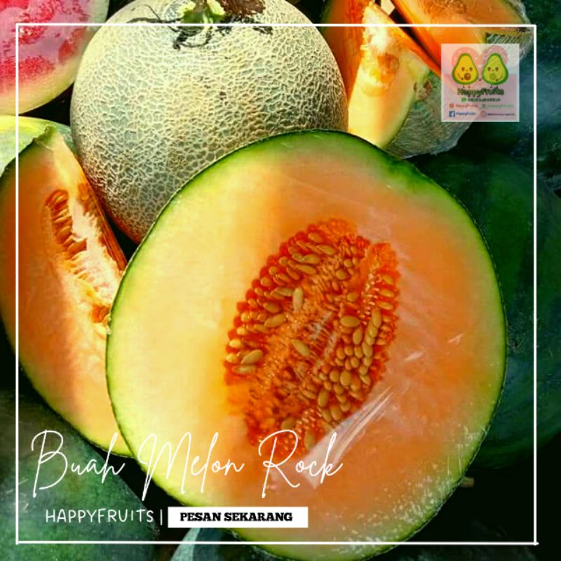 

BUAH MELON ROCK HAPPYFRUITS 1BUAH