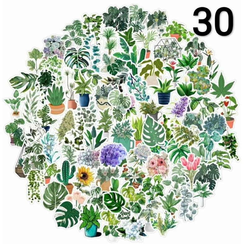 

Stiker Daun Tanaman Tropis Assorted Plant Sticker Tropical