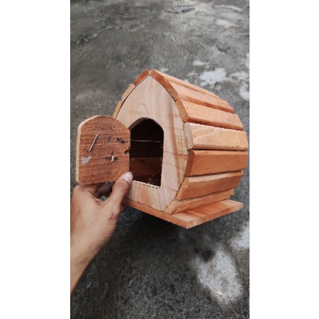 Glodok burung Parkit