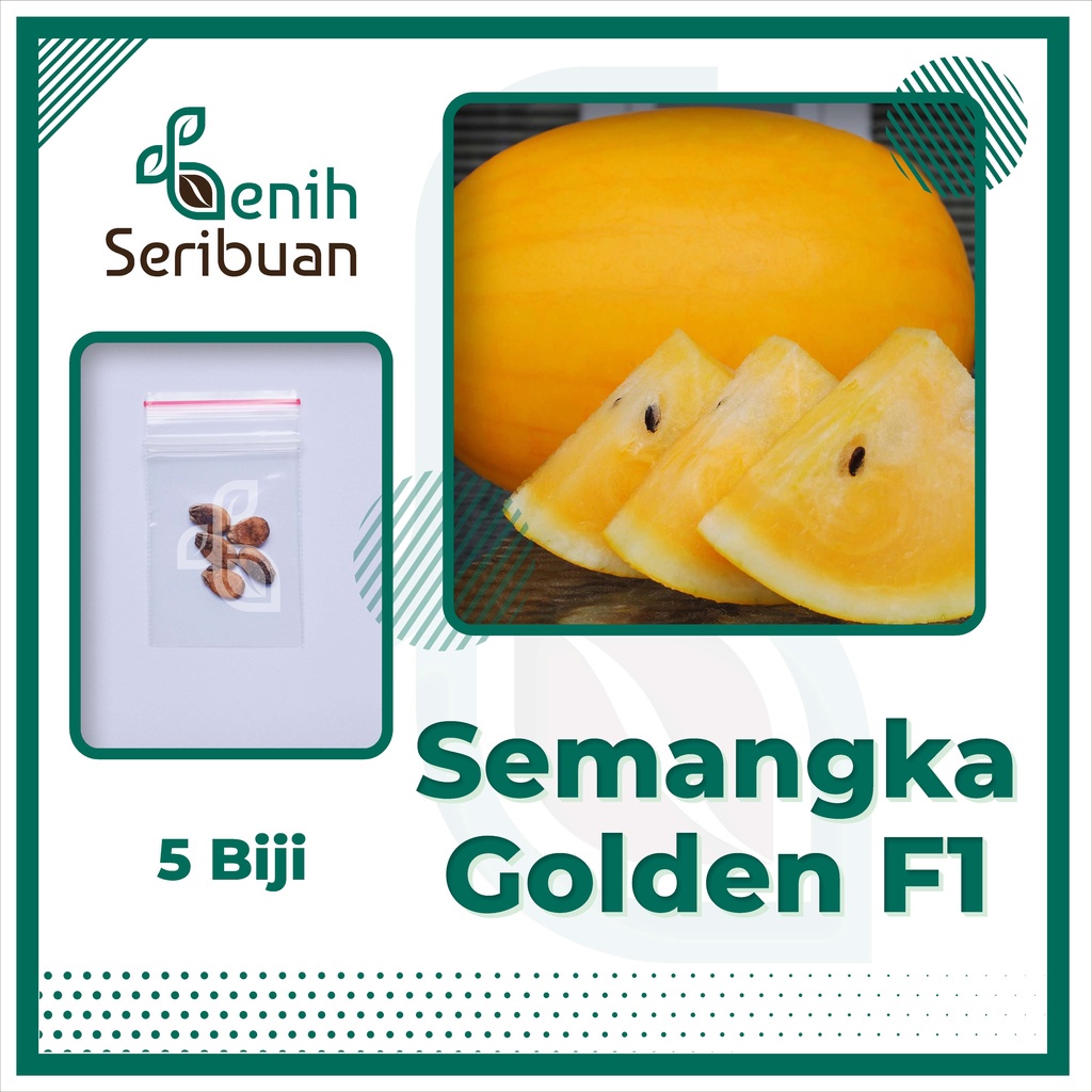 Benih Seribuan - 5 Bibit Buah Semangka Golden Kuning F1 Hibrida