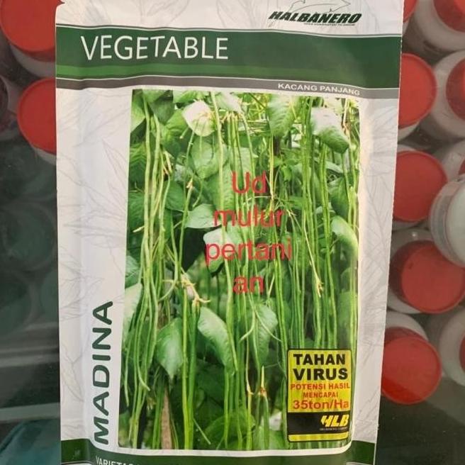 

Kacang panjang Anti Virus MADINA dr HALBANERO 500 gram Qink