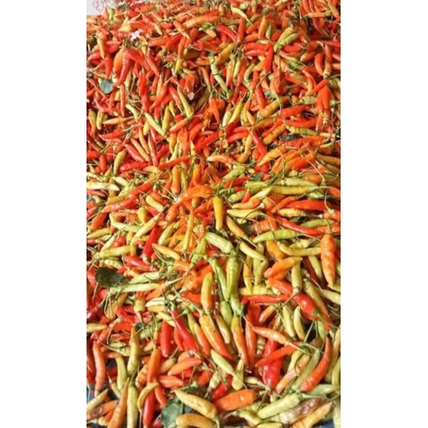 

Cabe Merah Pedas 500gram