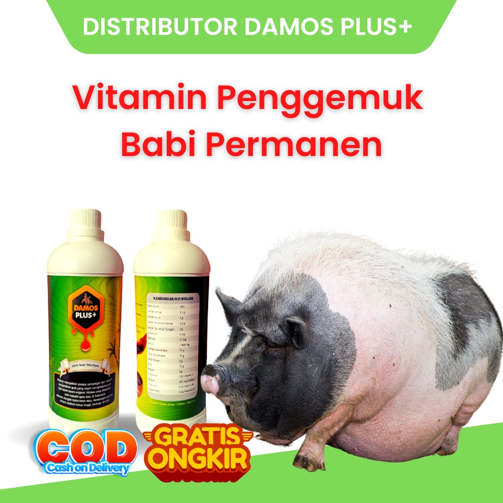 Damos Plus+ Obat Cacing Babi 7x Super Cepat Paling Ampuh - Vitamin Babi Mempercepat Besar Penambah Nafsu Makan Hewan Ternak Jamu Nyeor Ejuh - VGT Nutrisi Babi