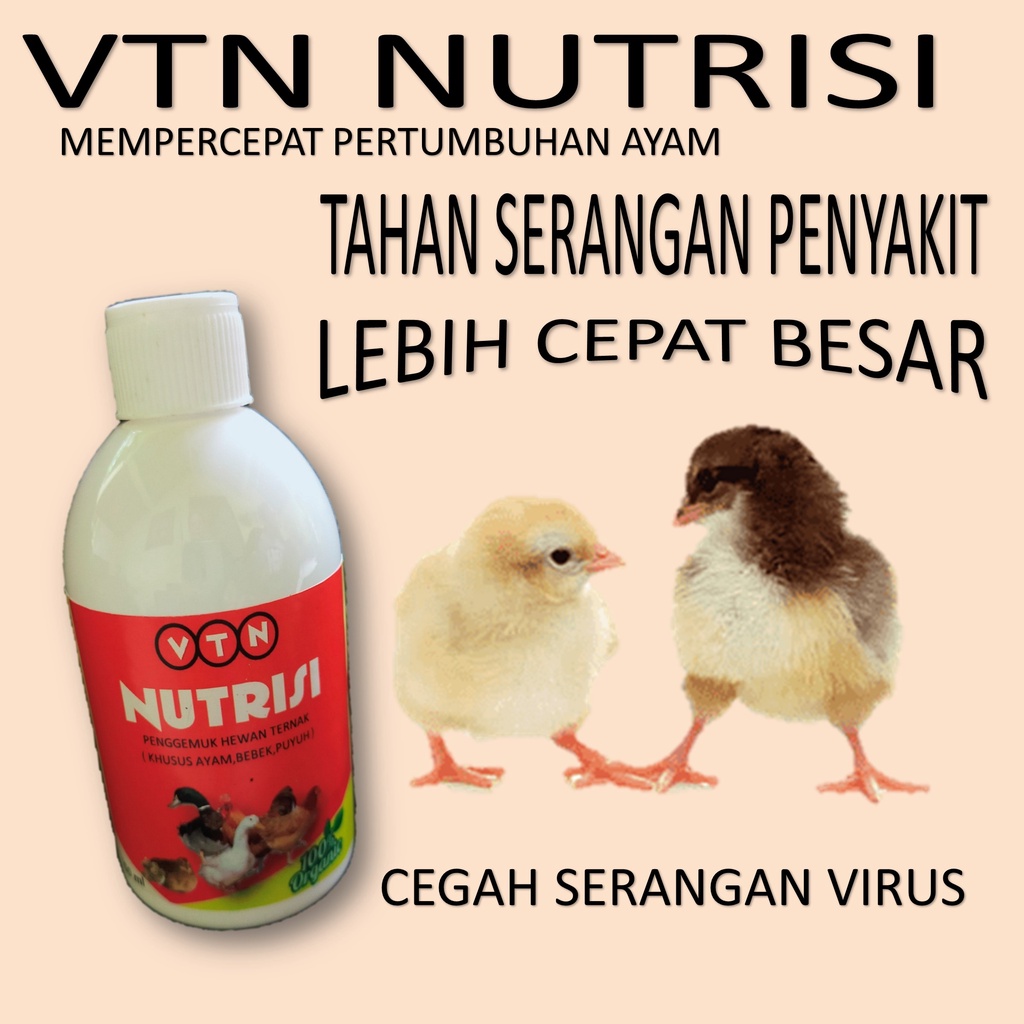 VTNPRO VITAMIN AYAM AGAR CEPAT BESAR | VITAMIN AYAM ADUAN | VITAMIN AYAM BROILER | VITAMIN AYAM