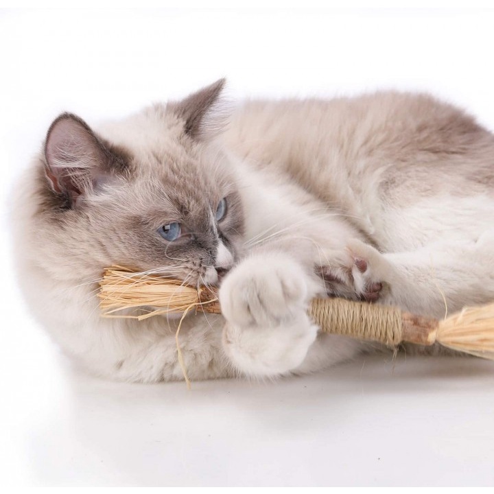108 Catnip Toys for Cat - Mainan Kucing Untuk Membuat Rileks dan Tenang