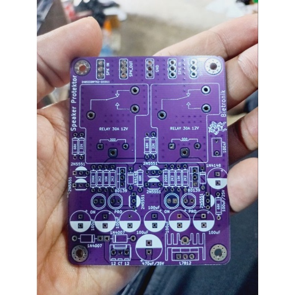 PCB Speaker Protektor