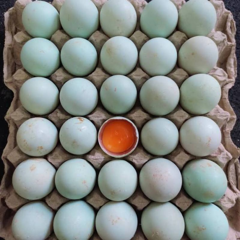 

Telur Bebek Omega3 per butir