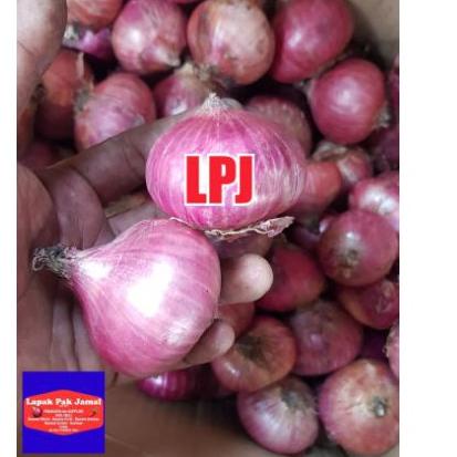 

AIL580 Bawang MERAH PEKING - 1 Kg - LPJ |