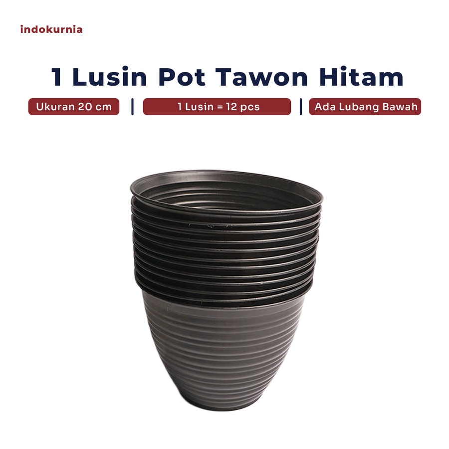 IK - 12PCS POT TAWON HITAM POT TANAMAN PIRUS TAWON MADU PUTIH 20 CM