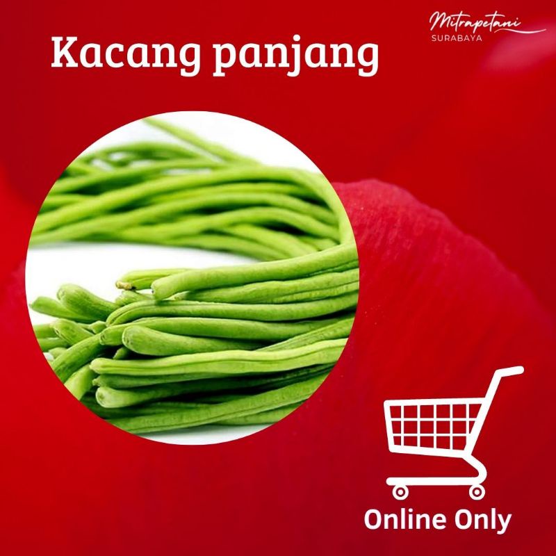 

kacang panjang 500 gram,sayur kacang panjang,kacang panjang segar