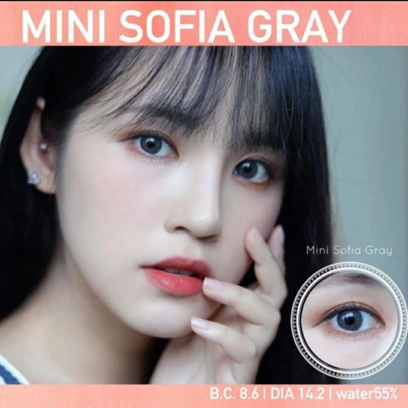 SOFTLENS MINI SOFIA BROWN GRAY KITTY KAWAII NORMAL MINUS 0.50 s.d 6.00 Made in Korea