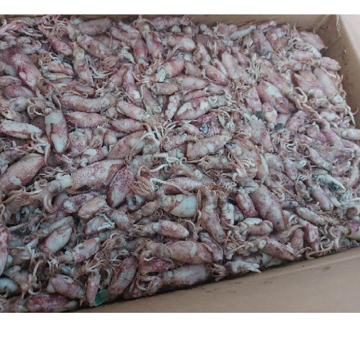 

code2i2Hw IKAN ASIN CUMI BEBY - 1kg FRESH