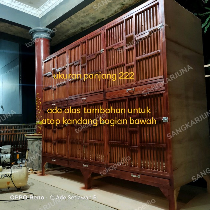 *#*#*#*#] kandang ayam Bangkok dewasa