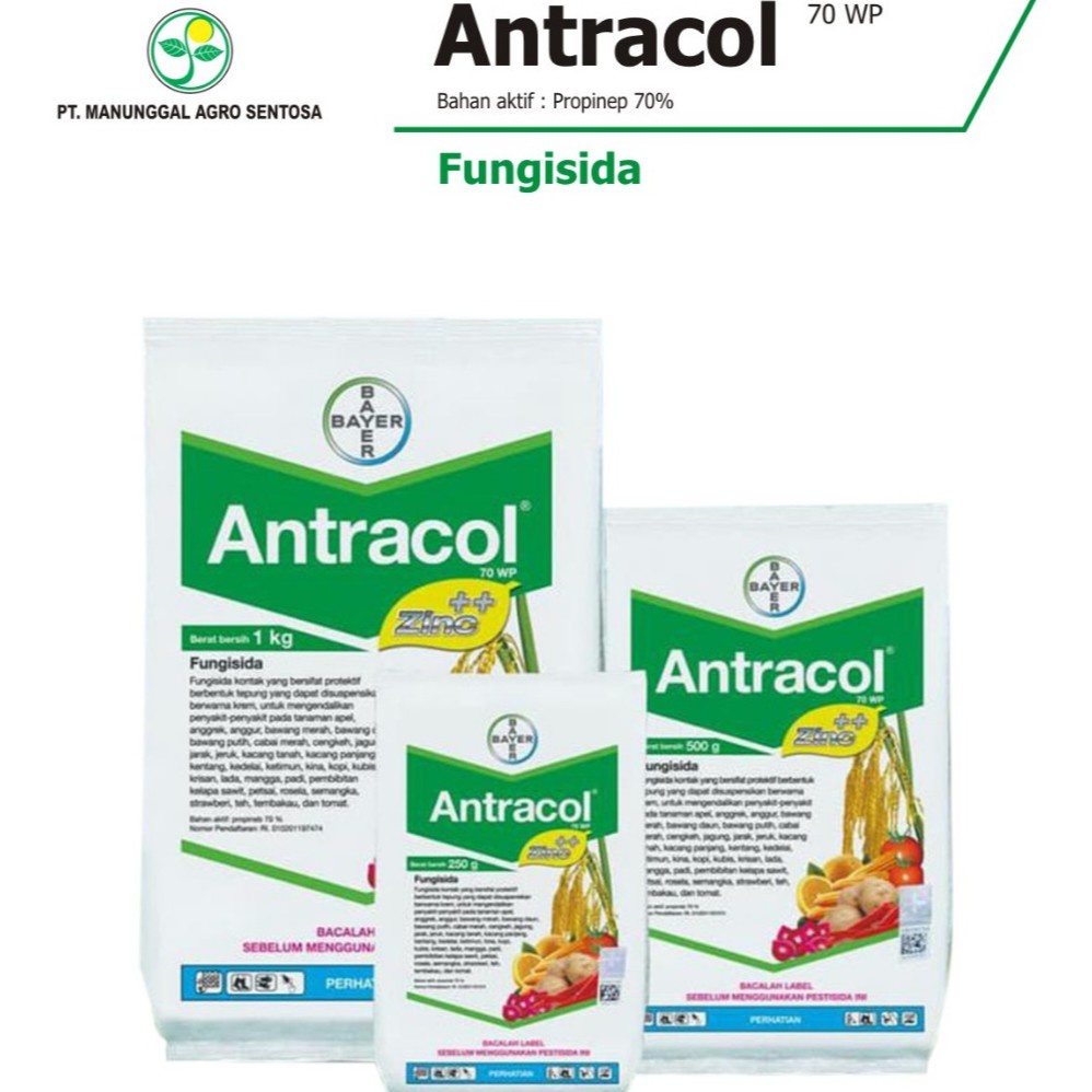 Benih Seribuan - Fungisida Antracol 70 WP + Zinc