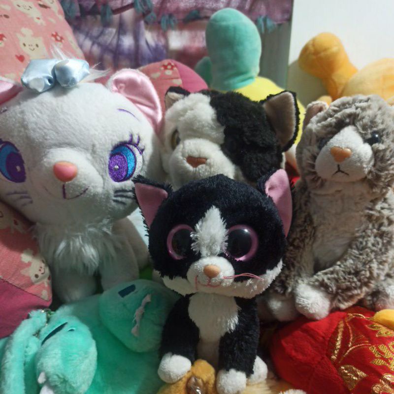 boneka pl import kucing lucu