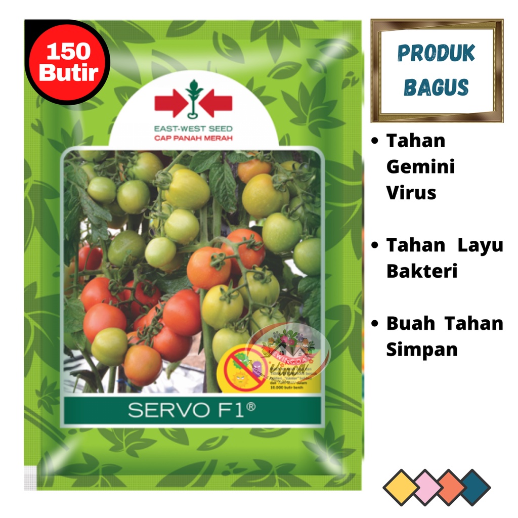 Stok Baru BENIH TOMAT SERVO F1 150 butir CAP PANAH MERAH.