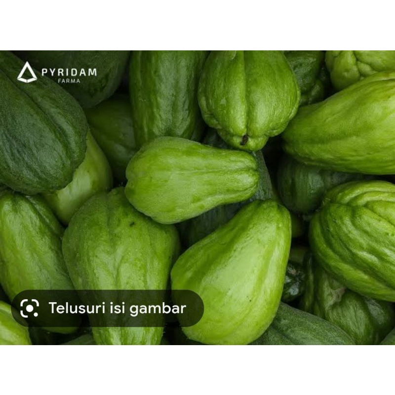 

labu siam / jipang 500g