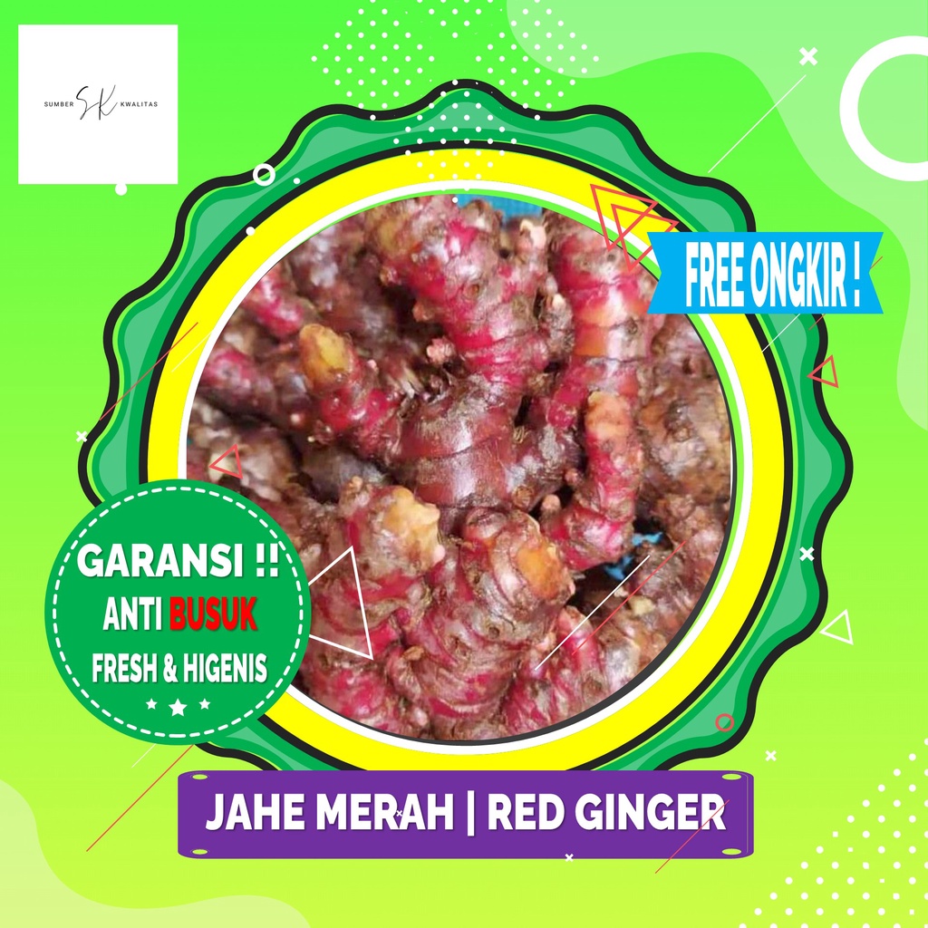 

Sumber Kwalitas - Jahe Merah | Red Ginger 200 gram