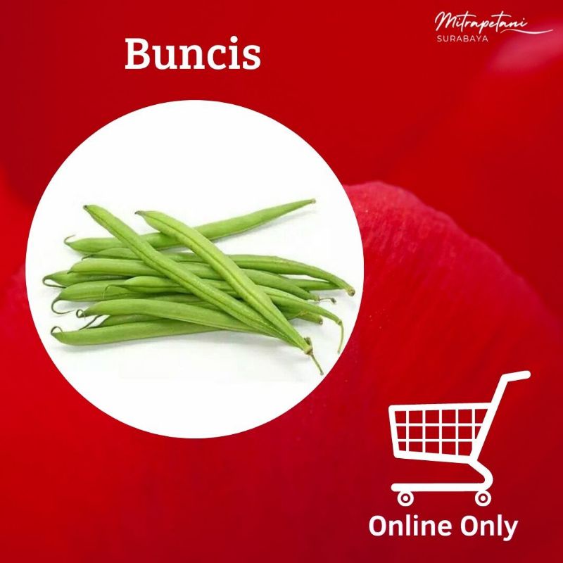 

Buncis 500 gram,sayur buncis,buncis segar