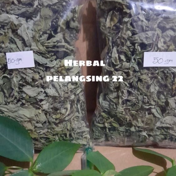 

HERBAL TEH DAUN KATE MAS PATIKAN MAS KERING MURNI TANPATANGKAI HERBAL PELANGSING BADAN / 50 GRM