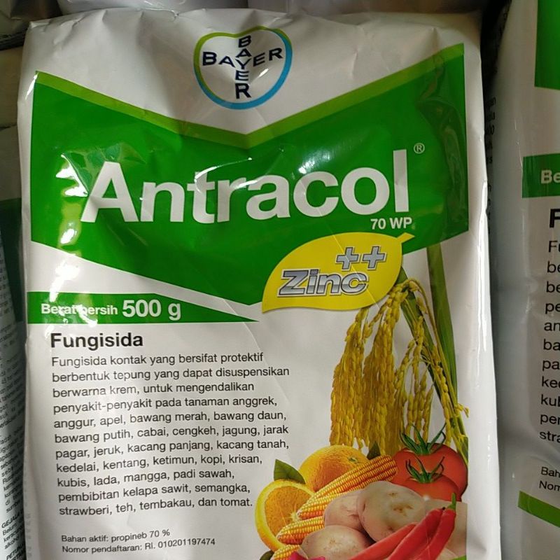 Antracol 500gr