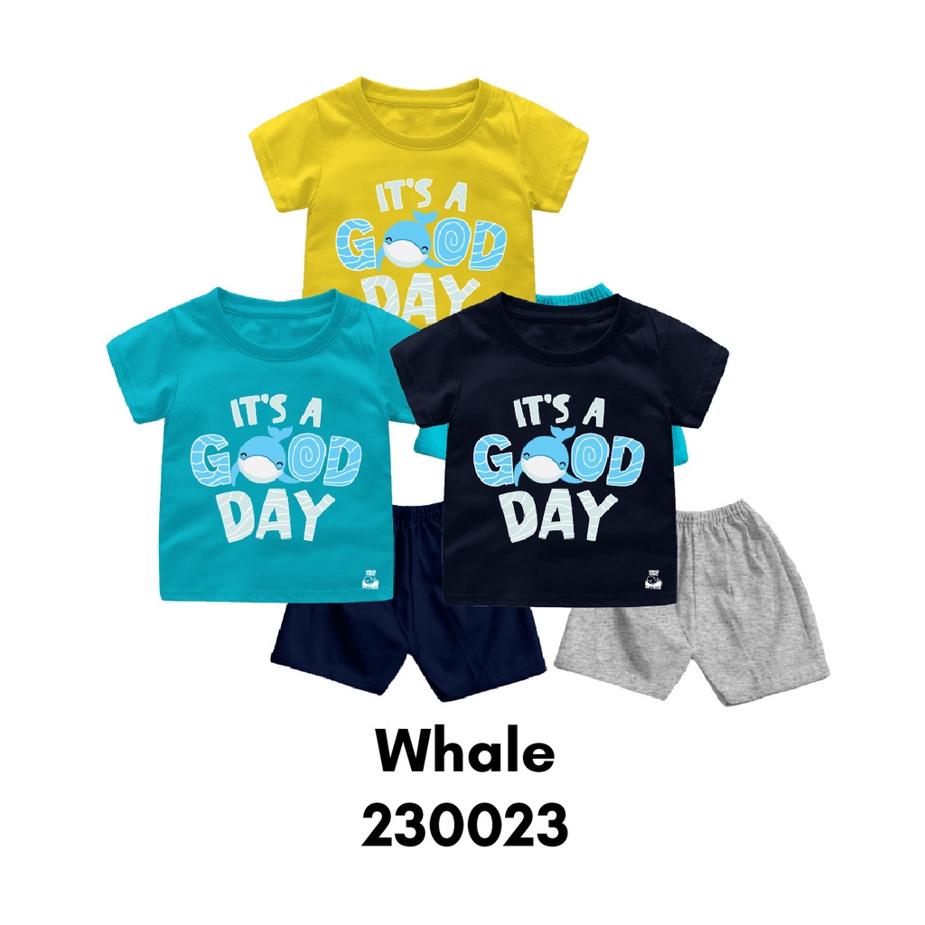 Setelan Bayi &amp; Anak NAF Typography Tema Roar Some Usia 6 Bulan-8 Tahun Bahan Katun Combed 30s