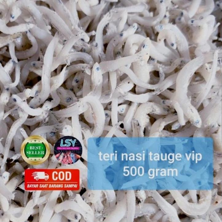 

Discount | [HJ6] | Ikan asin tn tauge vip/teri nasi size jumbo 500gr