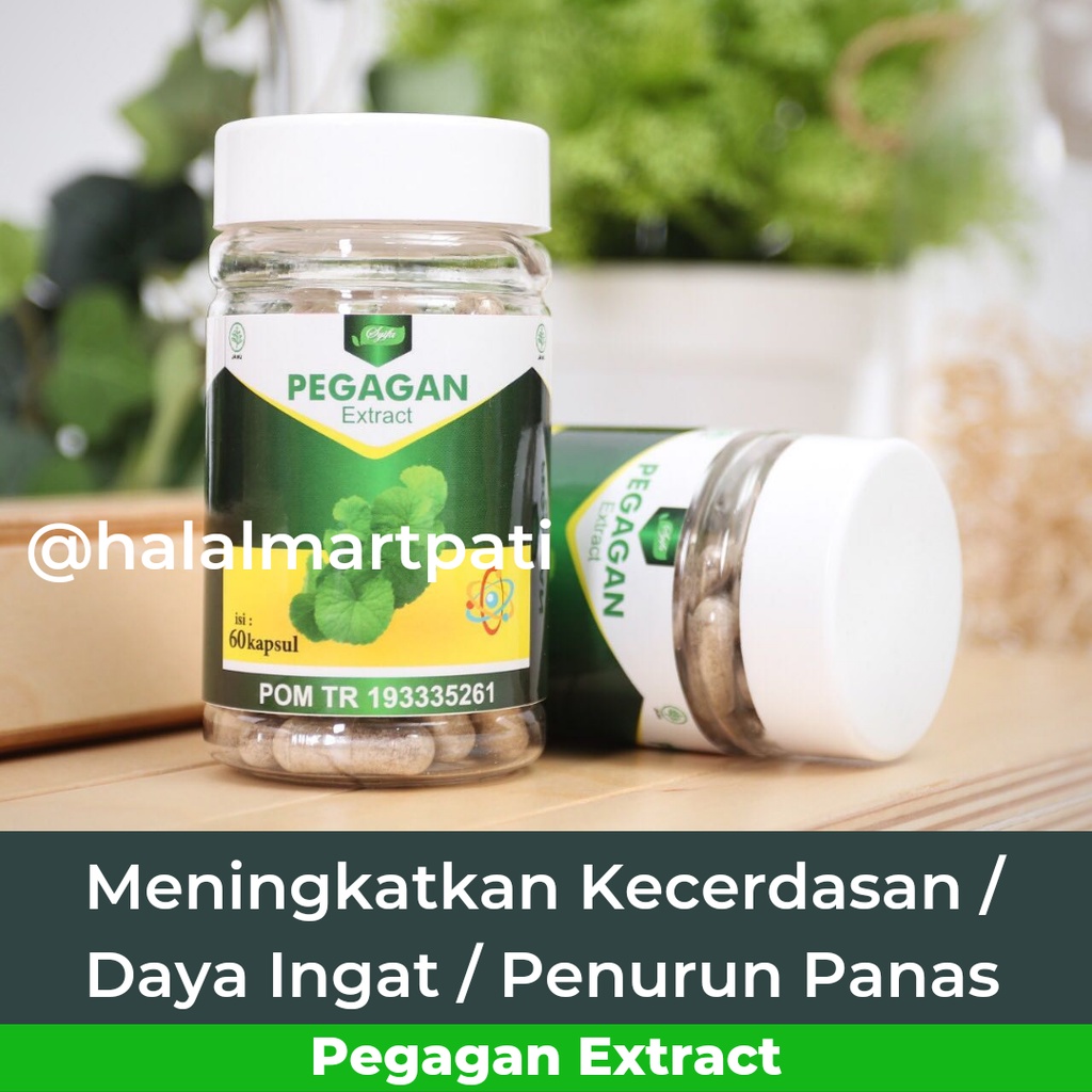 Kapsul Ekstrak Pegagan Obat Suplemen Vitamin Nutrisi Herbal Penambah Peningkat Kecerdasan Konsentrasi Daya Ingat Otak Penurun Panas Demam Anak Dewasa Cerdas Pintar