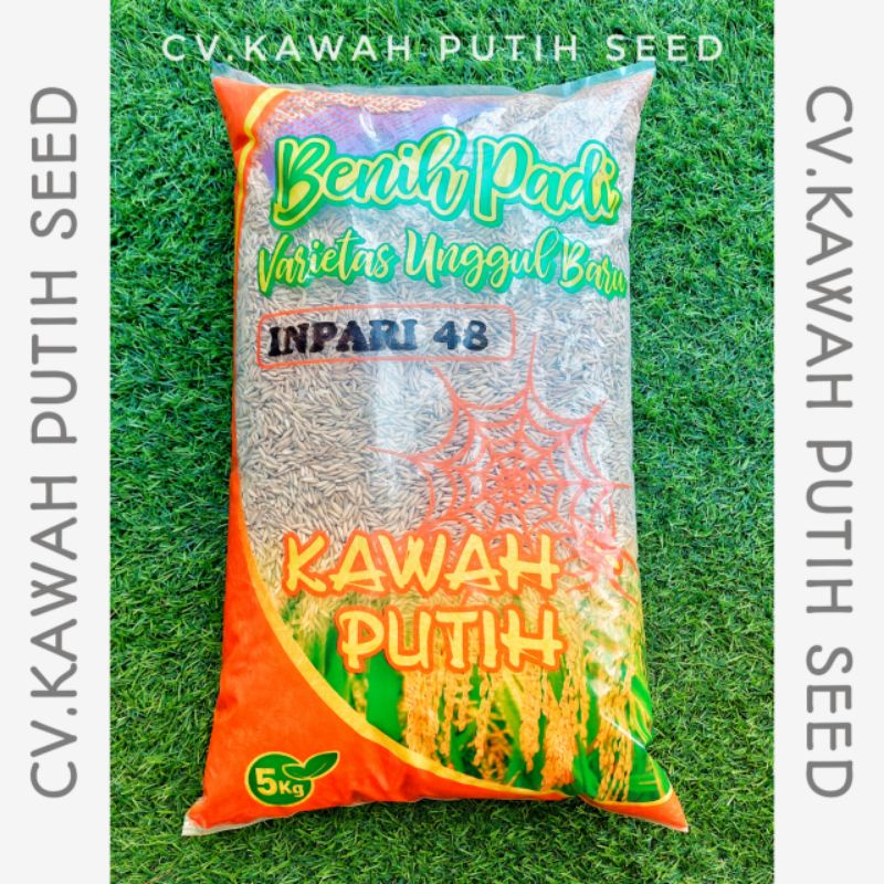 Benih Padi Inpari 48 5kg Bersertifikat Label Ungu Kawah Putih Seed Indramayu