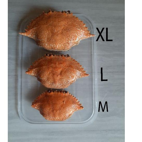 

Jangan Sampai Kehabisan!!!❄️ KETAM ISI FULL DAGING RAJUNGAN / KEPITING (SATUAN PER PCS)