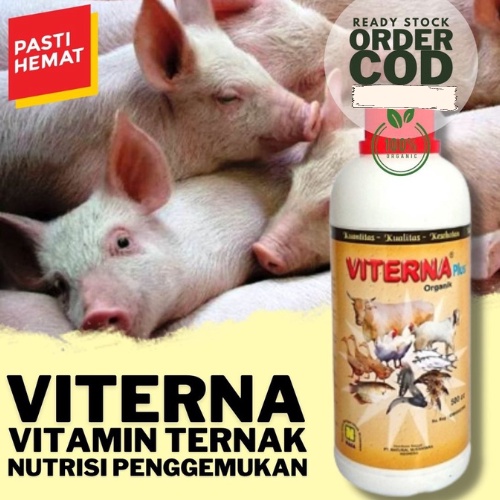 Vitamin Babi Cepat Besar / Vitamin Babi Biar Cepat Besar / Vitamin Penggemuk Ternak Babi / Vitamin P