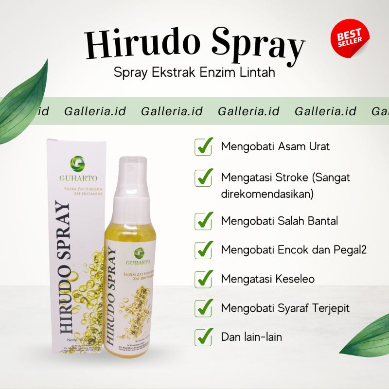 HIRUDO SPRAY 100 ML - SOLUSI REDAKAN ASAM URAT, SYARAF KEJEPIT & NYERI OTOT (100% ORI TABIB GUHARTO)