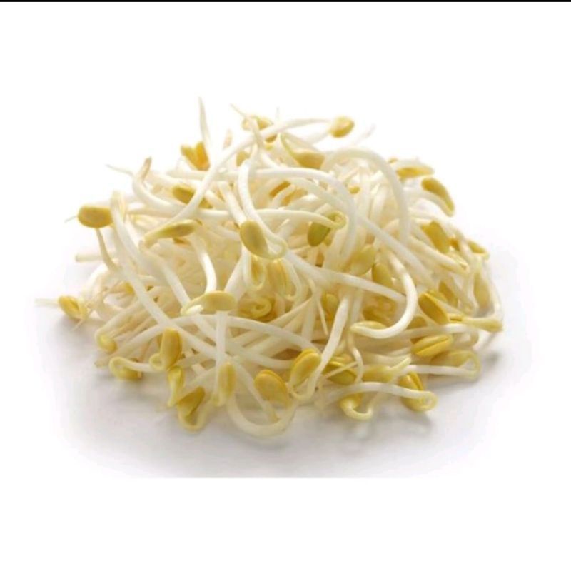 

kecambah per 500gram