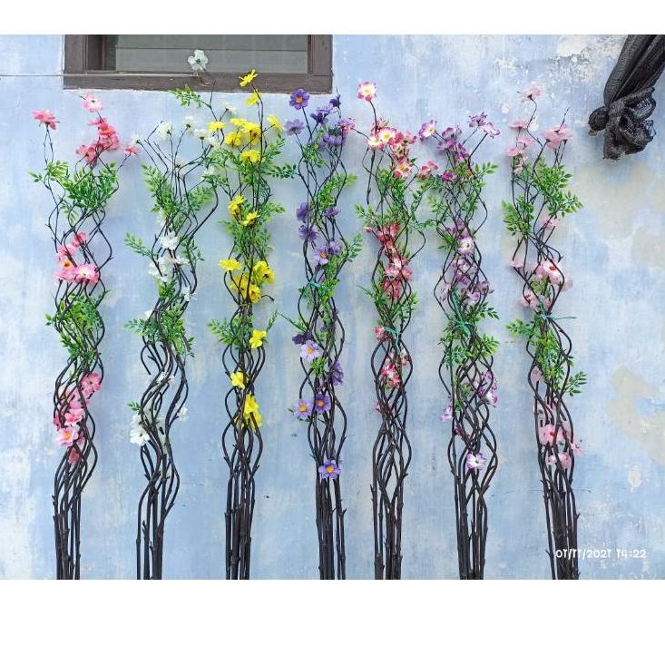 Serbu Puas Bambu inul/ BAMBU ULIR / Bambu Ulir Anyelir / Bambu Inul Hitam / Bambu Hias