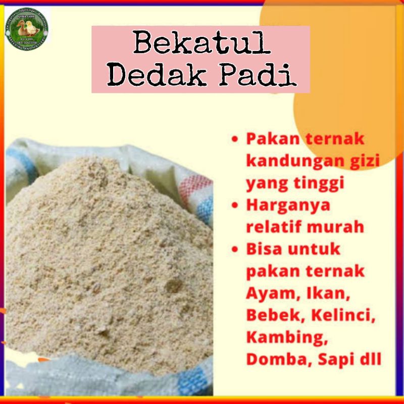 Bekatul Padi Dedak